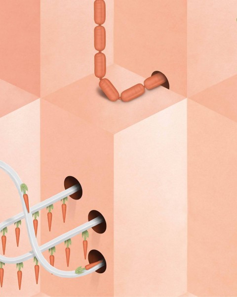 NLXL | European Wallpaper | SUZ-01 Pink Carrot