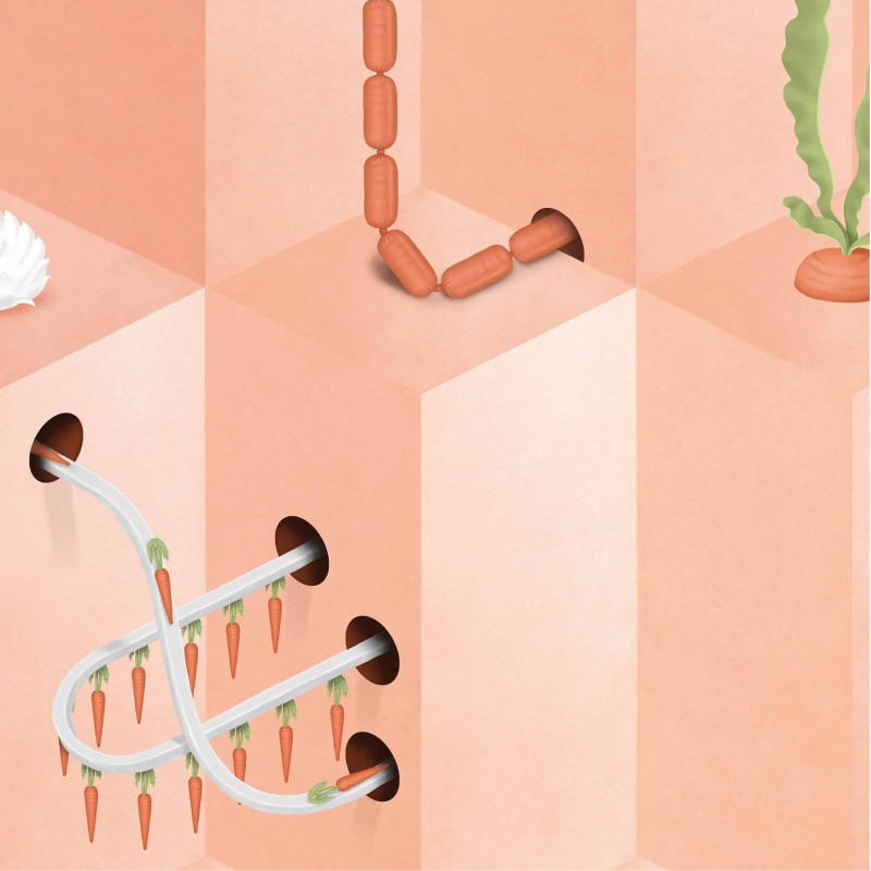 NLXL | European Wallpaper | SUZ-01 Pink Carrot