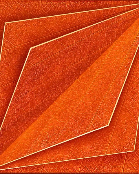 NLXL | European Wallpaper | SUZ-05 Orange Bloom