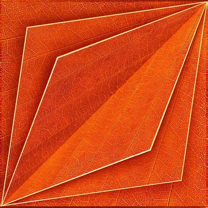 NLXL | European Wallpaper | SUZ-05 Orange Bloom