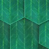 NLXL | European Wallpaper | SUZ-08 Rainy Woods