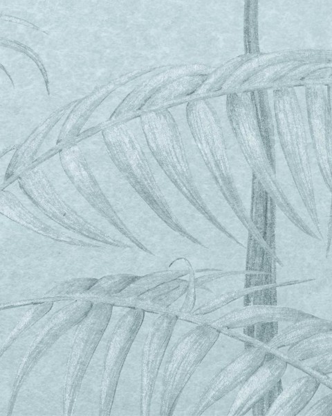 NLXL / UON-01 Amazonas Blue