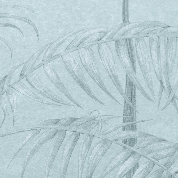 NLXL / UON-01 Amazonas Blue