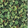 NLXL / UON-05 Greenery