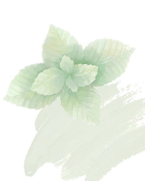 NR-Iced Mint