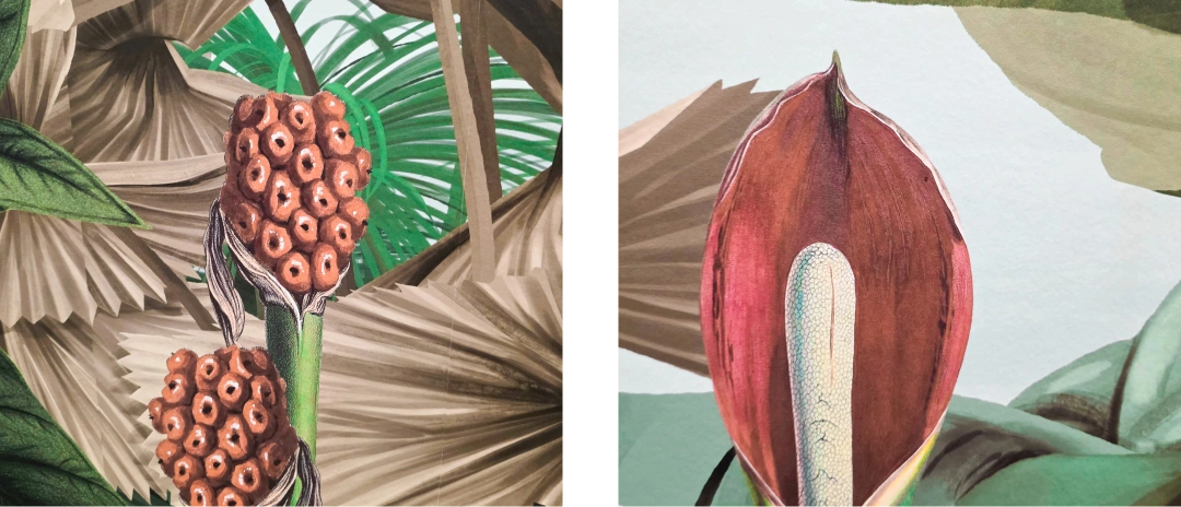 Look the result very stunning