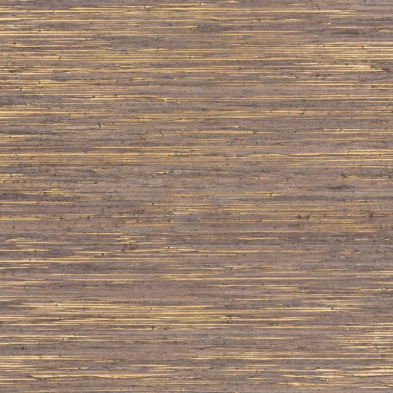 SRA3209 | Seraya