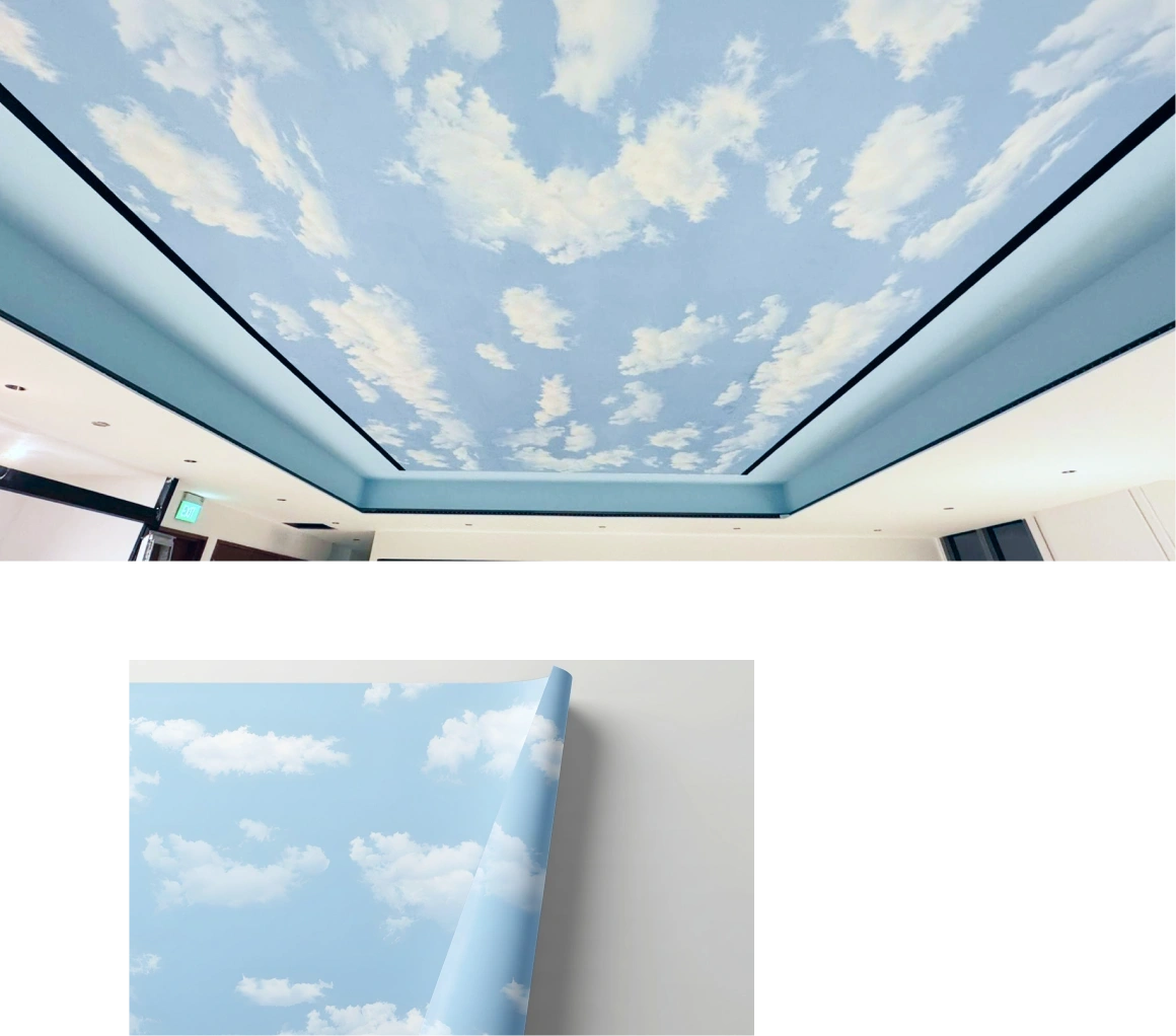 Wall ceiling look perfect with honpo makeover