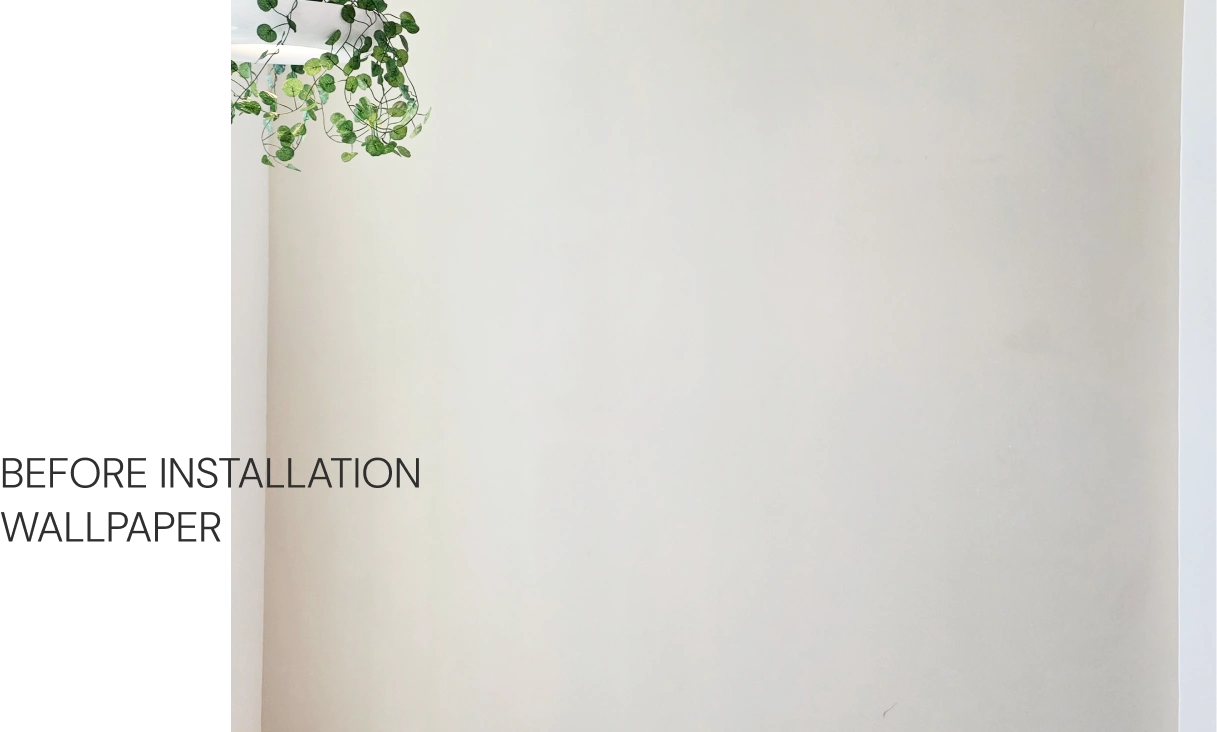 Before Installation Wallpaper