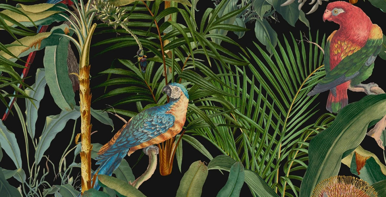 Detail of pattern Tropical Parrot of Brasil