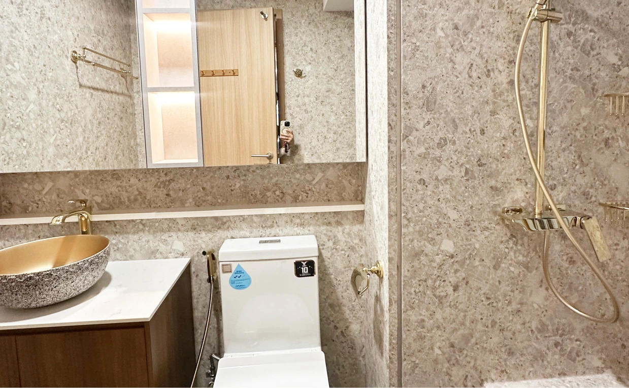 Other side of first wall toilet installation