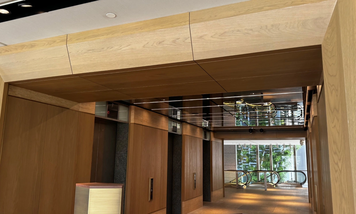 Stunning look wood laminate