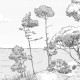 PaperMint | Cote Sauvage