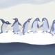 PaperMint | The Ice Floe