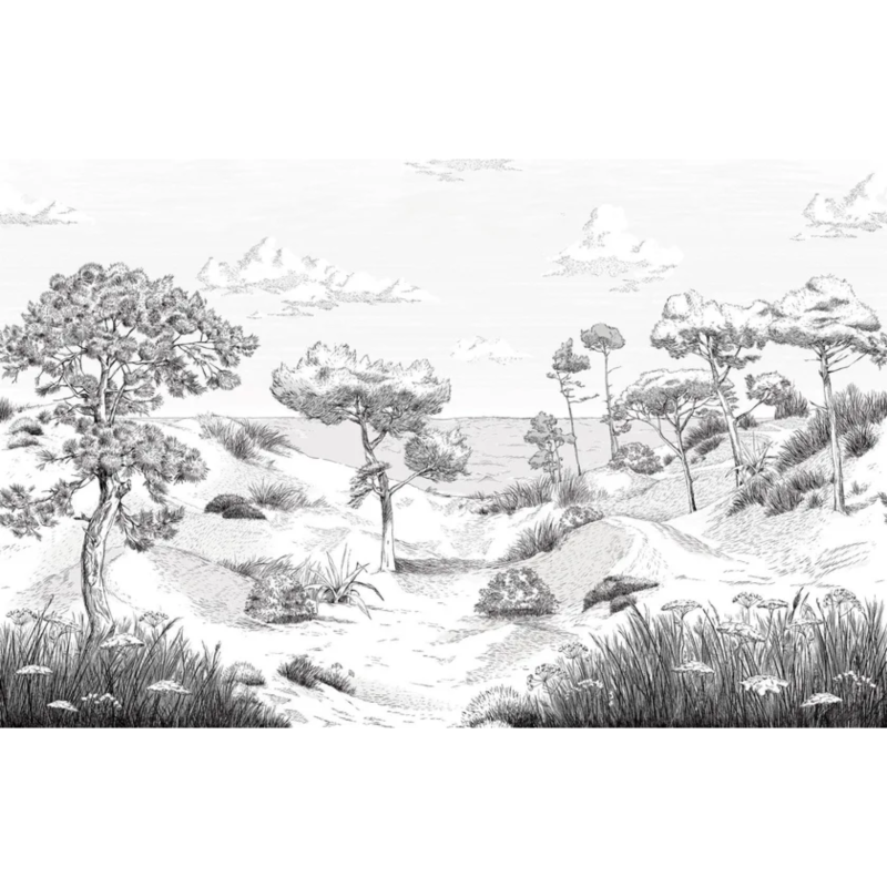 PaperMint | Cote Sauvage