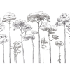 PaperMint | Sous Les Pins