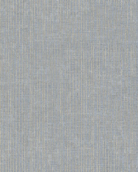 28896 | THEMA