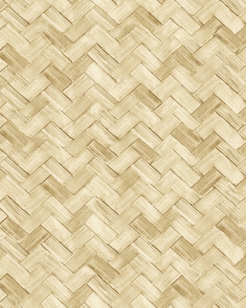 22068 | Amazzonia  