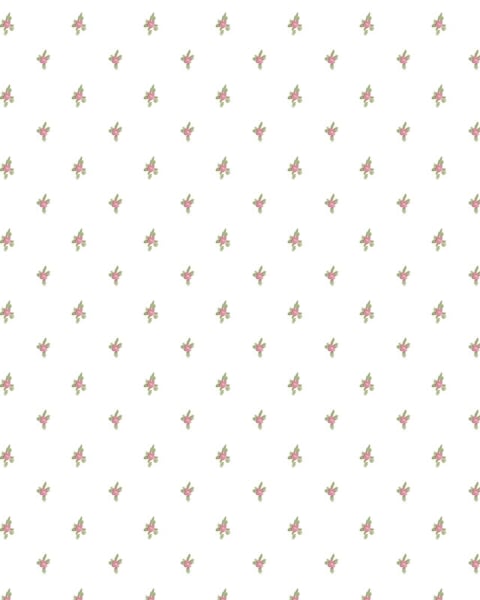 Parato | Blooming Garden | Primula 