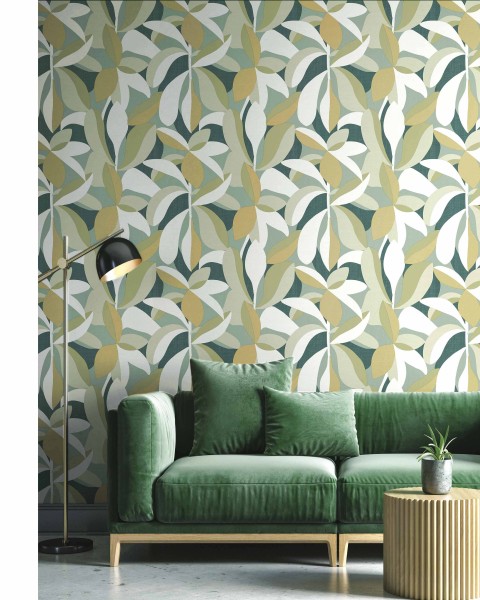 Ficus | Energie