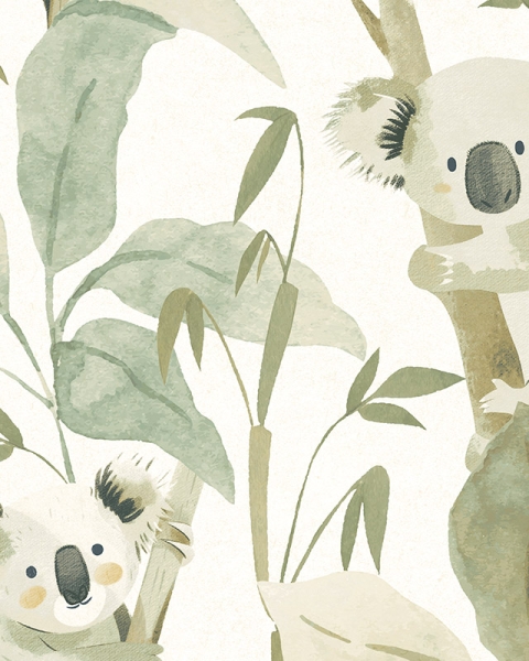 Parato | Momi | Koko | 214439