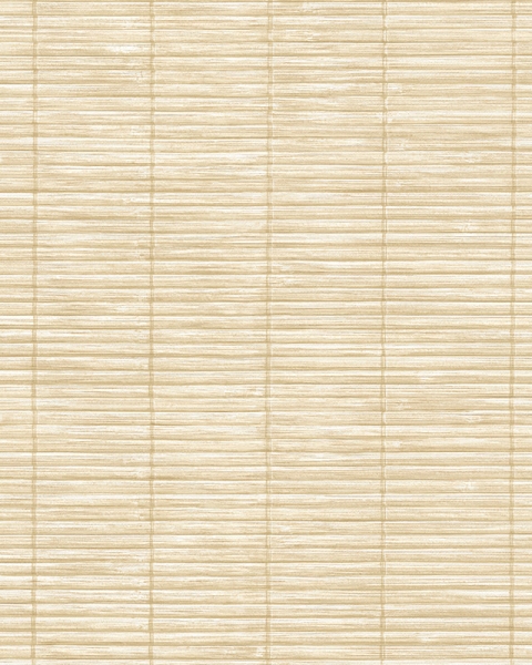 Parato | Momi | Bali I