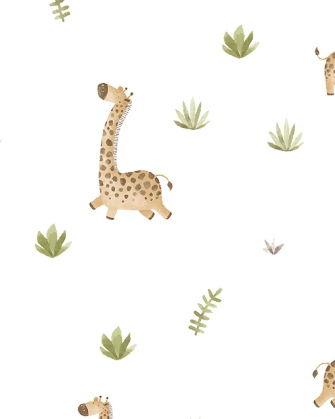 Parato | Momi | Milo