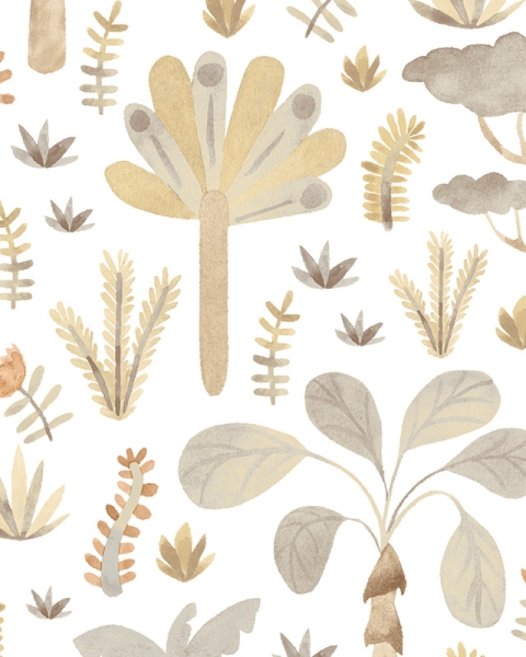 Parato | Momi | Forest I