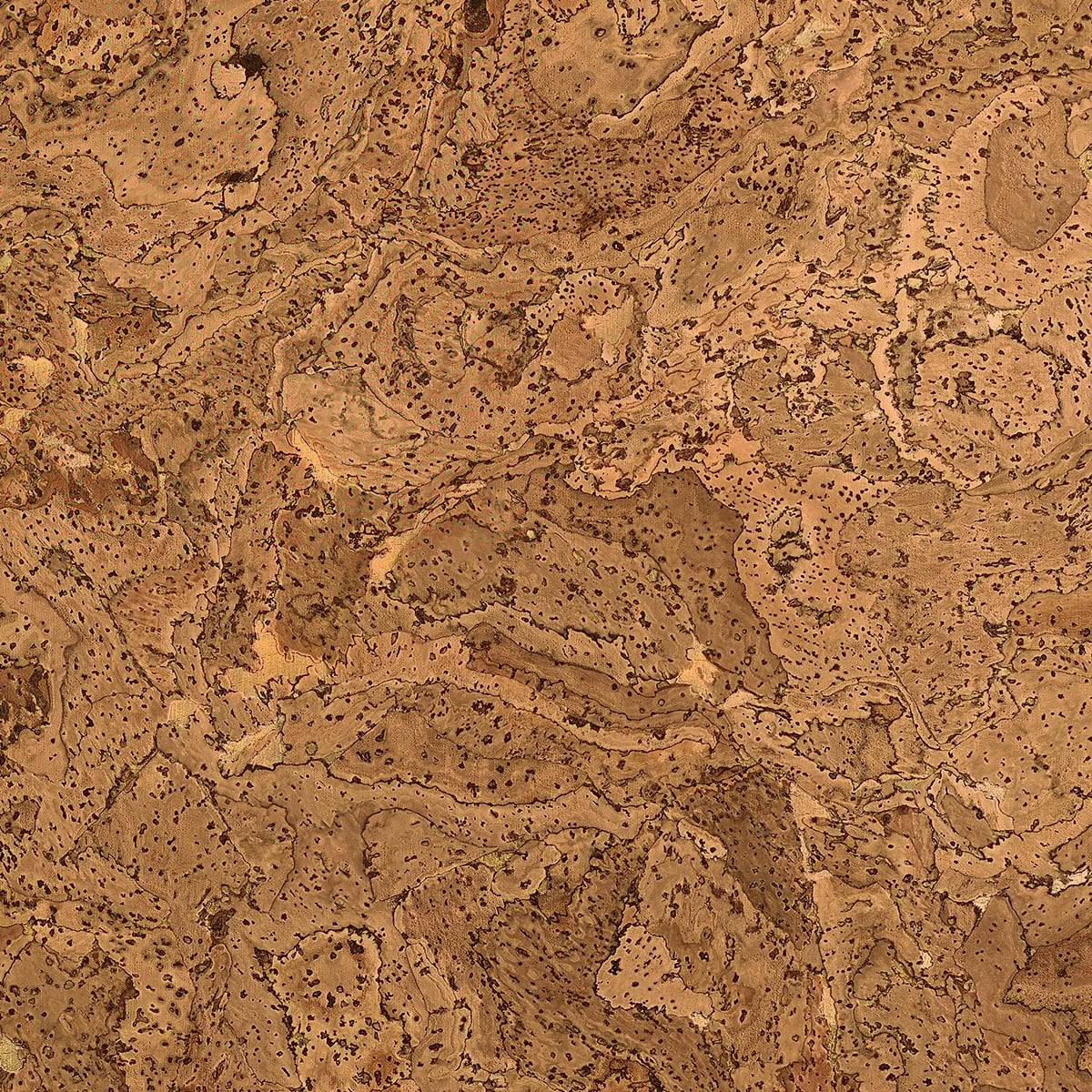 Phillip Jeffries | Cork Couture I Phillip Jeffries | Cork Couture I