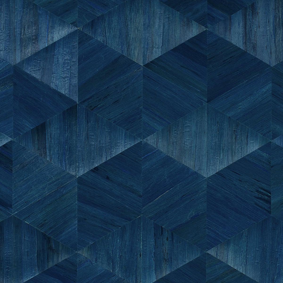 Phillip Jeffries | Harmony Hyacinth I Phillip Jeffries | Harmony Hyacinth I