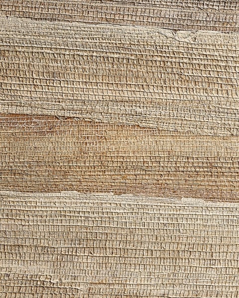 Phillip Jeffries | Husk II