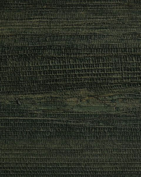 Phillip Jeffries | Husk I