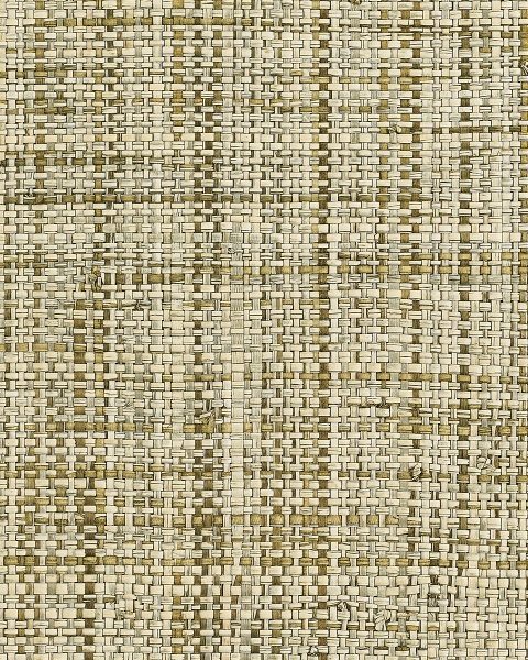 Phillip Jeffries | Island Raffia IV