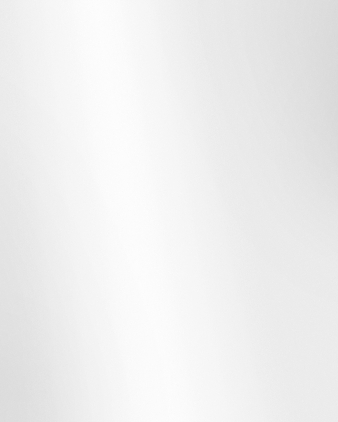 Phillip Jeffries | Lacquered Walls II