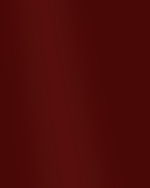 Phillip Jeffries | Lacquered Walls V