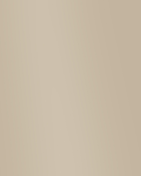 Phillip Jeffries | Lacquered Walls VI