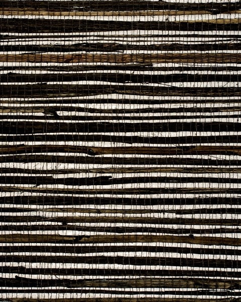 Phillip Jeffries | Grass Roots V