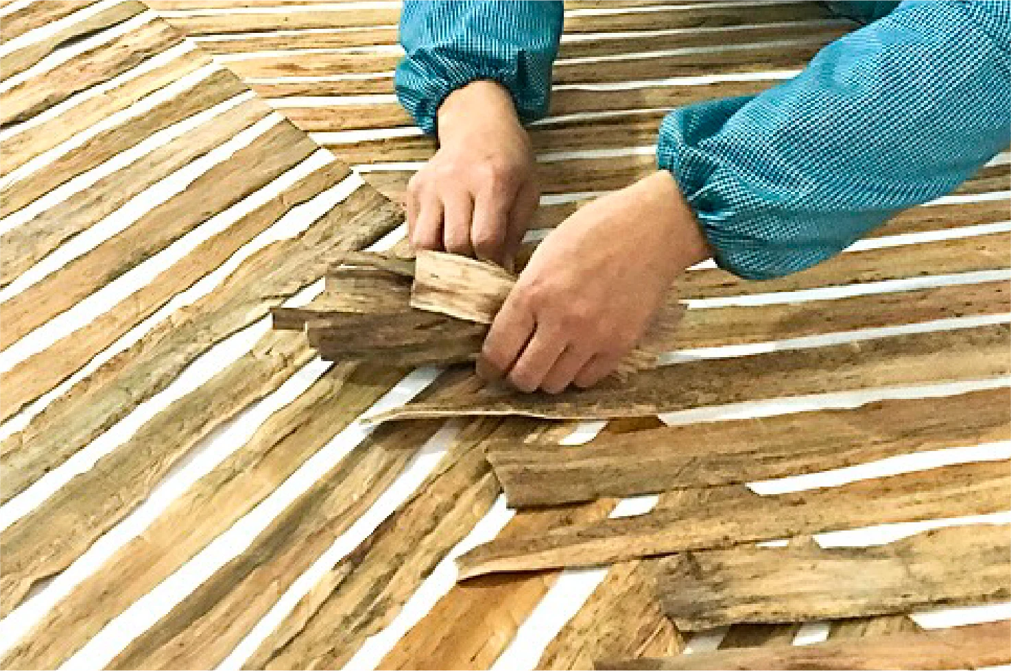Natural wallpaper design