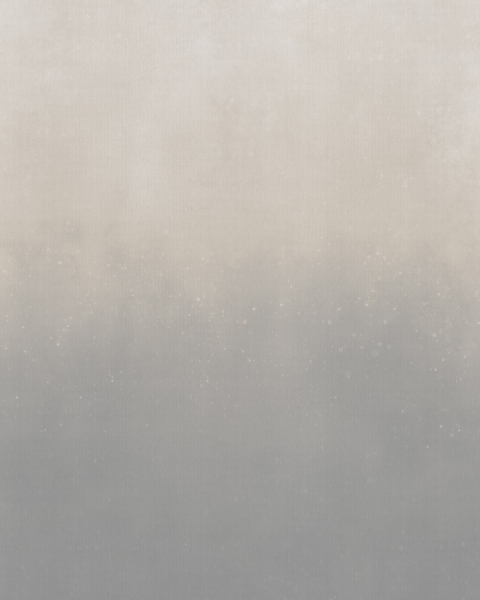 Phillip Jeffries | Bubbles | 27707