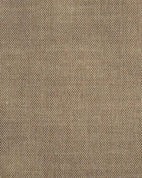 Phillip Jeffries | Buttoned Up II