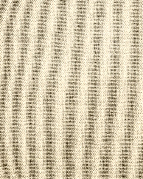 Phillip Jeffries | Buttoned Up II