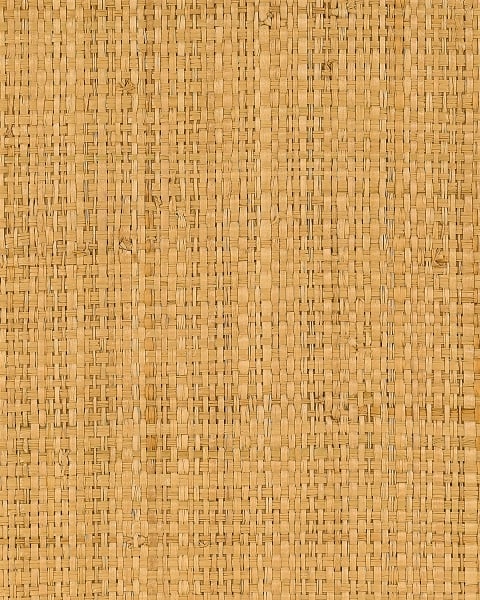 Phillip Jeffries | Capri Raffia 