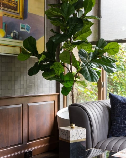 Phillip Jeffries | Vinyl Luxe Leathers I