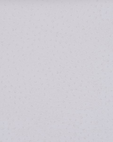 Phillip Jeffries | Vinyl Ostrich II