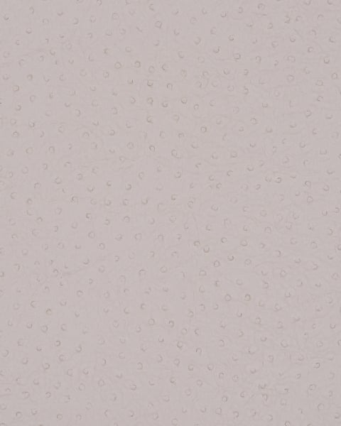 Phillip Jeffries | Vinyl Ostrich I