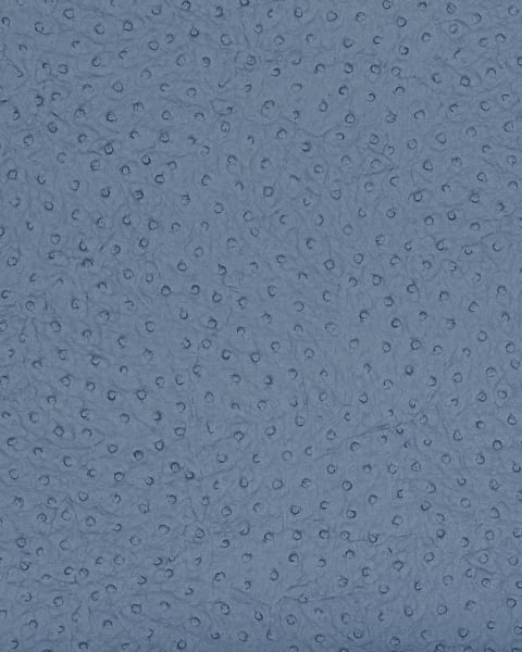 Phillip Jeffries | Vinyl Ostrich III