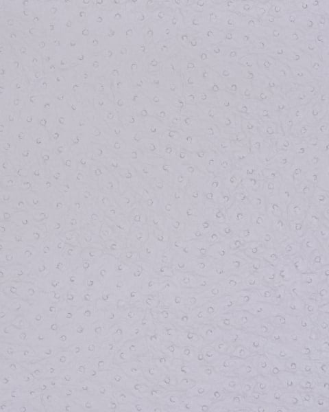 Phillip Jeffries | Vinyl Ostrich II