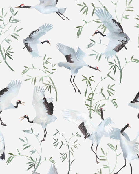 Jiyu, Japanese Crane