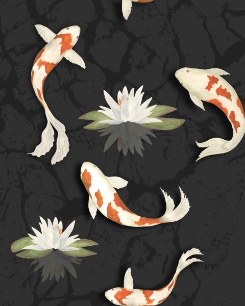Shizukana, Japanese Koi Fish