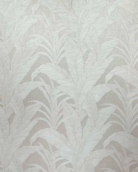 Musa | 75000A | Selva